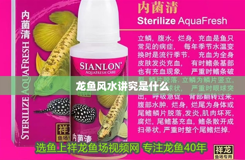 龍魚風水講究是什么