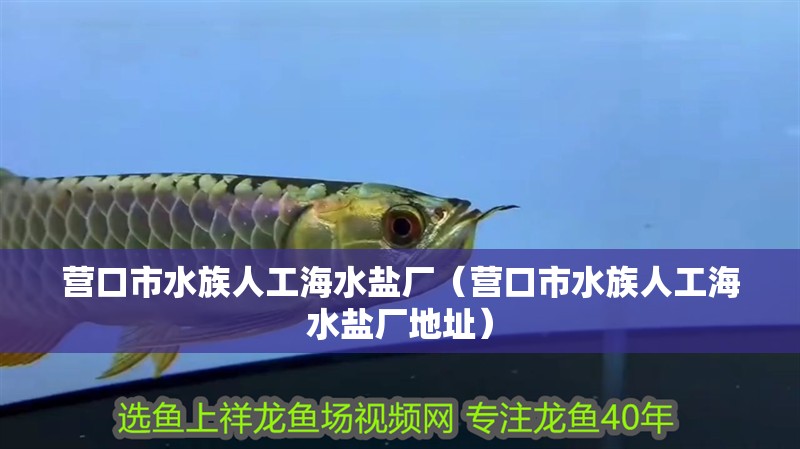營口市水族人工海水鹽廠（營口市水族人工海水鹽廠地址）