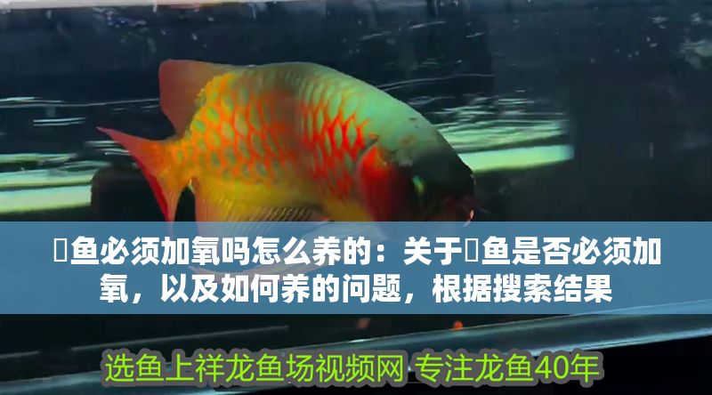 魟魚必須加氧嗎怎么養的:關于魟魚是否必須加氧,以及如何養的問題,根據搜索結果 魟魚百科 第2張 魟魚必須加氧嗎怎么養的:關于魟魚是否必須加氧,以及如何養的問題,根據搜索結果 魟魚必須加氧嗎怎么養的:關于魟魚是否必須加氧,以及如何養的問題,根據搜索結果 魟魚百科 第2張