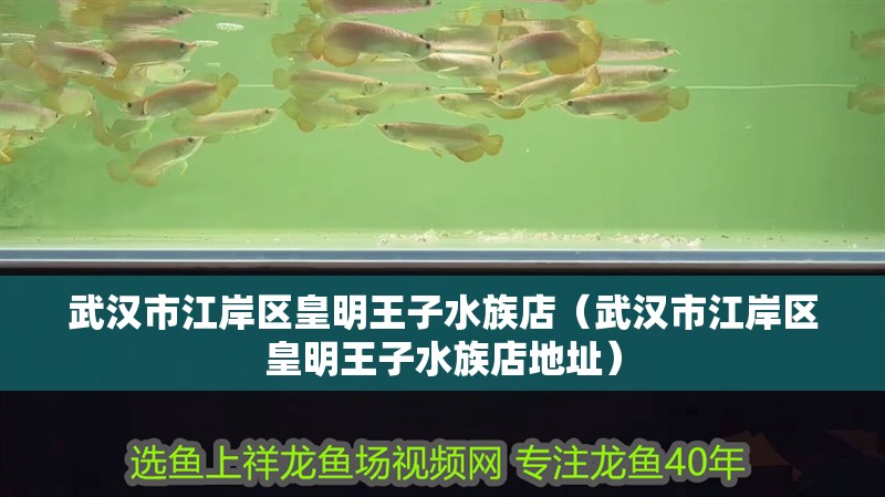 武漢市江岸區皇明王子水族店（武漢市江岸區皇明王子水族店地址）