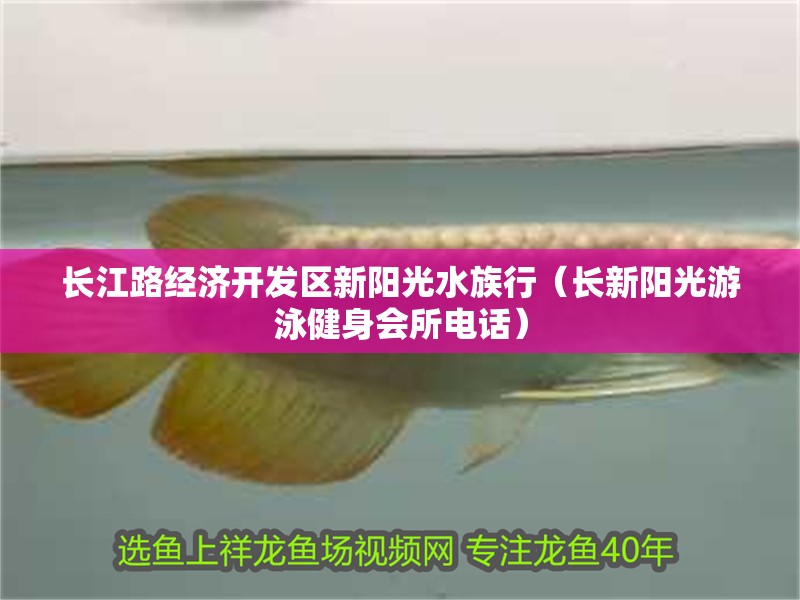 長江路經濟開發區新陽光水族行（長新陽光游泳健身會所電話） 長江路經濟開發區新陽光水族行（長新陽光游泳健身會所電話） 全國水族館企業名錄 第2張