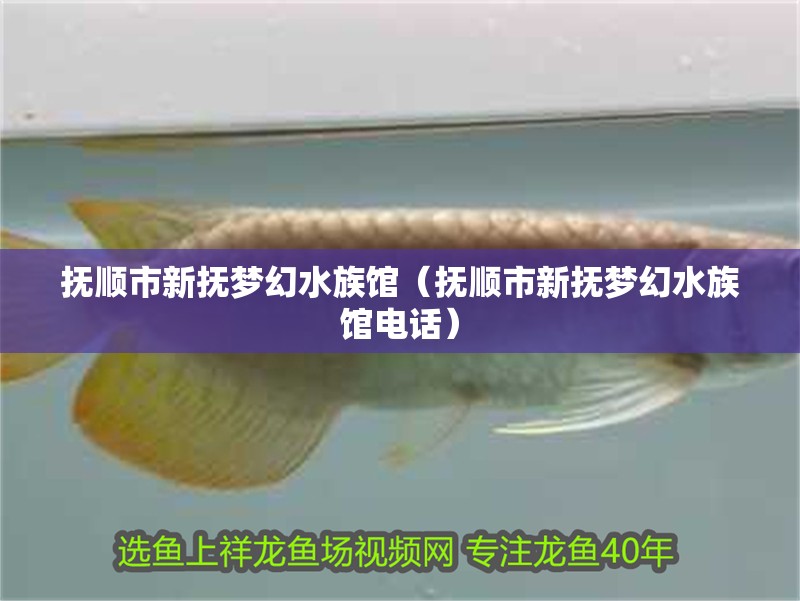 撫順市新撫夢幻水族館（撫順市新撫夢幻水族館電話）