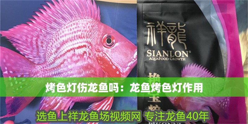 烤色燈傷龍魚嗎：龍魚烤色燈作用