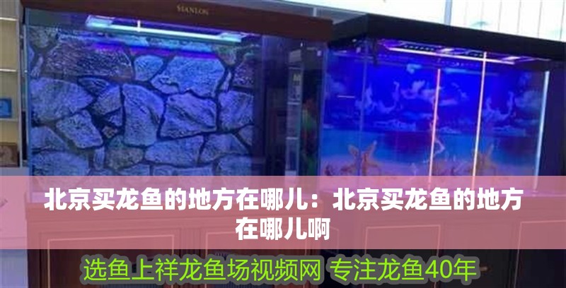 <strong><mark>北京</mark></strong>買龍魚的地方在哪兒：<strong><mark>北京</mark></strong>買龍魚的地方在哪兒啊