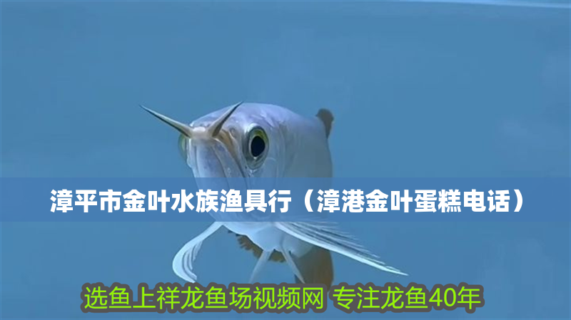 漳平市金葉水族漁具行（漳港金葉蛋糕電話）