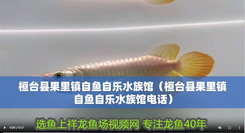 桓臺縣果里鎮自魚自樂水族館（桓臺縣果里鎮自魚自樂水族館電話）