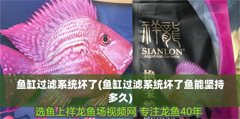 魚缸過濾系統(tǒng)壞了(魚缸過濾系統(tǒng)壞了魚能堅(jiān)持多久)