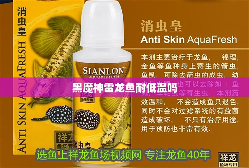 黑魔神雷龍魚耐低溫嗎