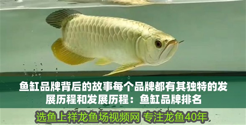 魚缸品牌背后的故事每個品牌都有其獨特的發(fā)展歷程和發(fā)展歷程：魚缸品牌排名