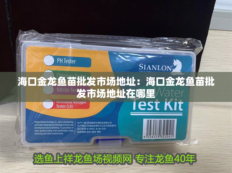 海口金龍魚(yú)苗批發(fā)市場(chǎng)地址：海口金龍魚(yú)苗批發(fā)市場(chǎng)地址在哪里