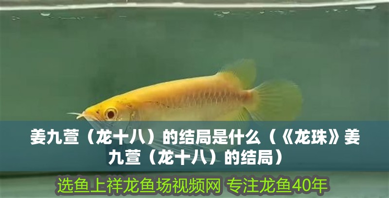 姜九萱（龍十八）的結局是什么（《龍珠》姜九萱（龍十八）的結局）
