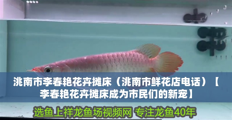 <strong><mark>洮南</mark></strong>市李春艷花卉攤床（<strong><mark>洮南</mark></strong>市鮮花店電話）【李春艷花卉攤床成為市民們的新寵】