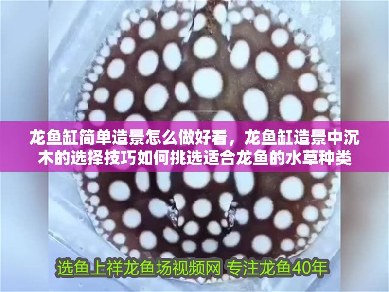 龍魚缸簡單造景怎么做好看，龍魚缸造景中沉木的選擇技巧如何挑選適合龍魚的水草種類