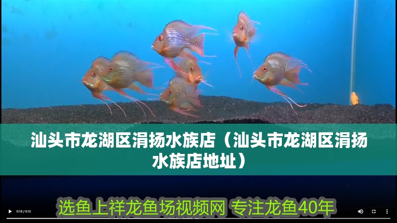 汕頭市龍湖區涓揚水族店（汕頭市龍湖區涓揚水族店地址）