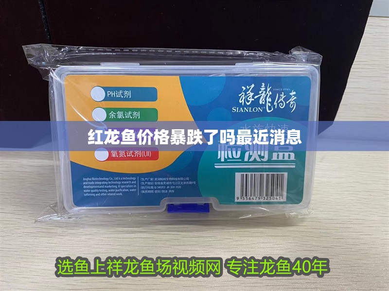 紅龍魚(yú)價(jià)格暴跌了嗎最近消息