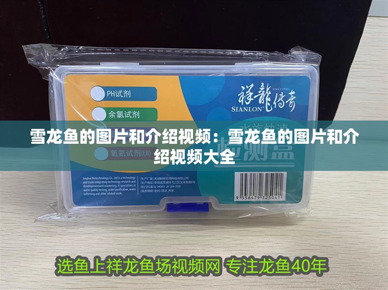 雪龍魚的圖片和介紹視頻：雪龍魚的圖片和介紹視頻大全