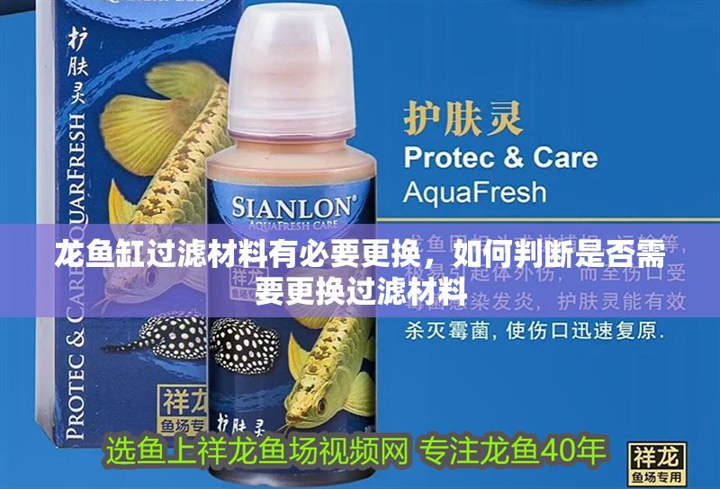 龍魚缸過濾材料有必要更換，如何判斷是否需要更換過濾材料 龍魚缸過濾材料有必要更換，如何判斷是否需要更換過濾材料 魚缸百科 第2張