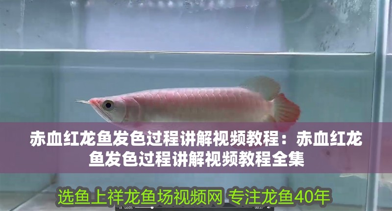 博特變頻泵到底好不好使呢（博特變頻泵到底好不好使呢視頻）