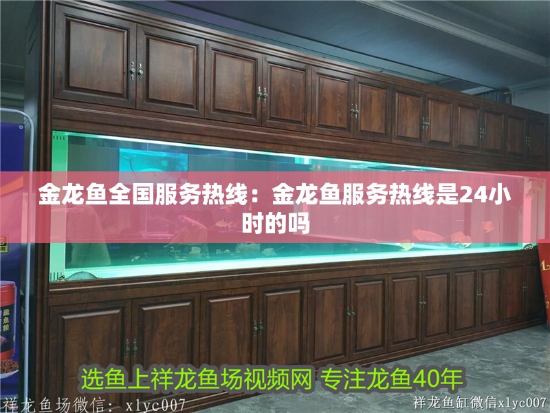 金龍魚全國服務熱線：金龍魚服務熱線是24小時的嗎 金龍魚全國服務熱線：金龍魚服務熱線是24小時的嗎 水族問答