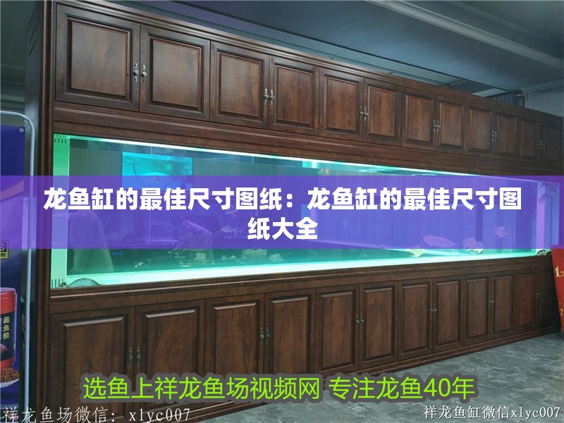龍魚缸的最佳尺寸圖紙：龍魚缸的最佳尺寸圖紙大全 龍魚缸的最佳尺寸圖紙：龍魚缸的最佳尺寸圖紙大全 水族問答
