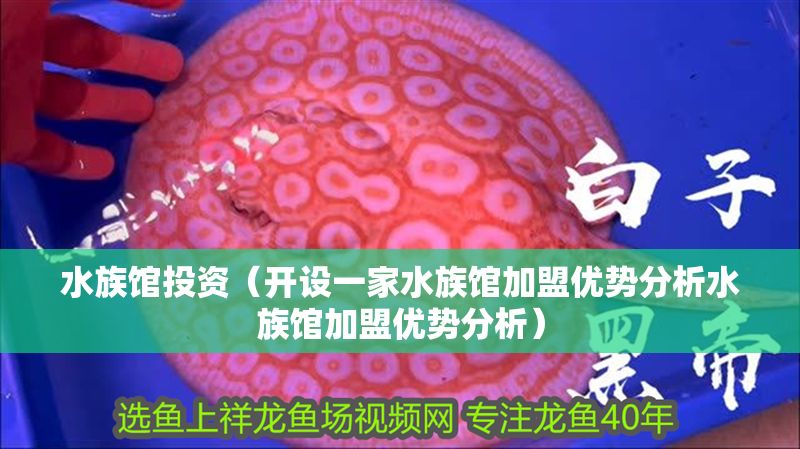 水族館投資（開設一家水族館加盟優勢分析水族館加盟優勢分析）