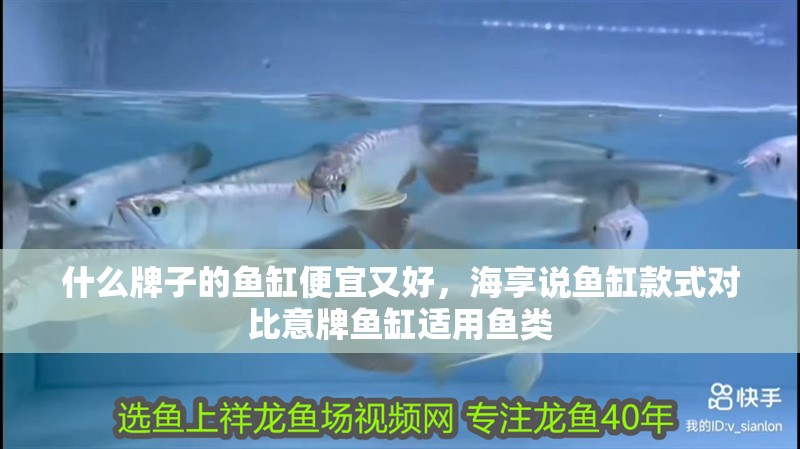 什么牌子的魚缸便宜又好，海享說魚缸款式對(duì)比意牌魚缸適用魚類