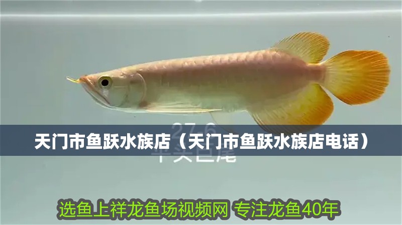 天門市魚躍水族店（天門市魚躍水族店電話） 天門市魚躍水族店（天門市魚躍水族店電話） 全國水族館企業名錄 第2張