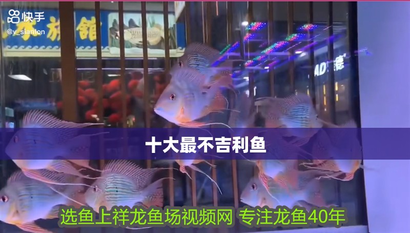 十大最不吉利魚
