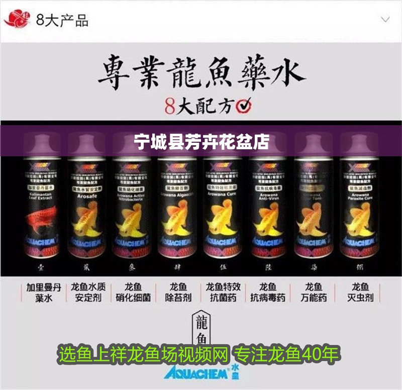 寧城縣芳卉花盆店