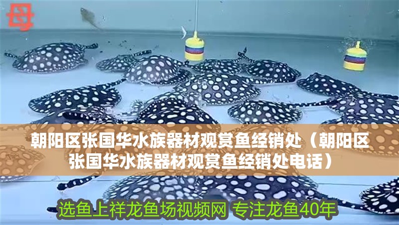朝陽區(qū)張國華水族器材觀賞魚經(jīng)銷處（朝陽區(qū)張國華水族器材觀賞魚經(jīng)銷處電話）