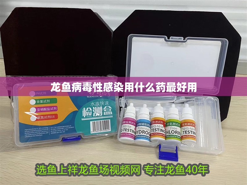 龍魚病毒性感染用什么藥最好用