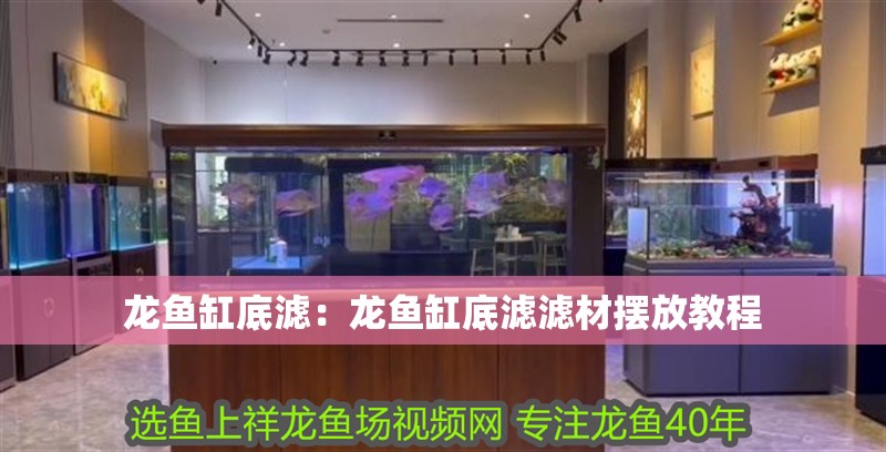 龍魚缸底濾：龍魚缸底濾濾材擺放教程