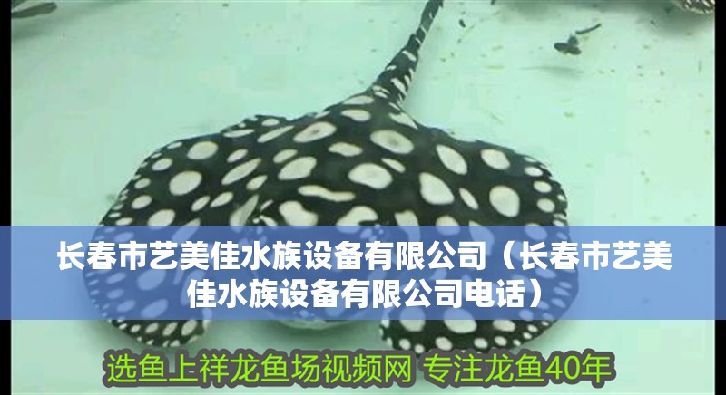 長春市藝美佳水族設備有限公司（長春市藝美佳水族設備有限公司電話）