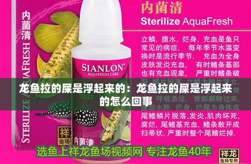 豬鼻龜瀕危物種有哪些圖片及名稱視頻(豬鼻龜國家二級保護動物) 豬鼻龜百科 豬鼻龜瀕危物種有哪些圖片及名稱視頻(豬鼻龜國家二級保護動物) 豬鼻龜瀕危物種有哪些圖片及名稱視頻(豬鼻龜國家二級保護動物) 豬鼻龜百科