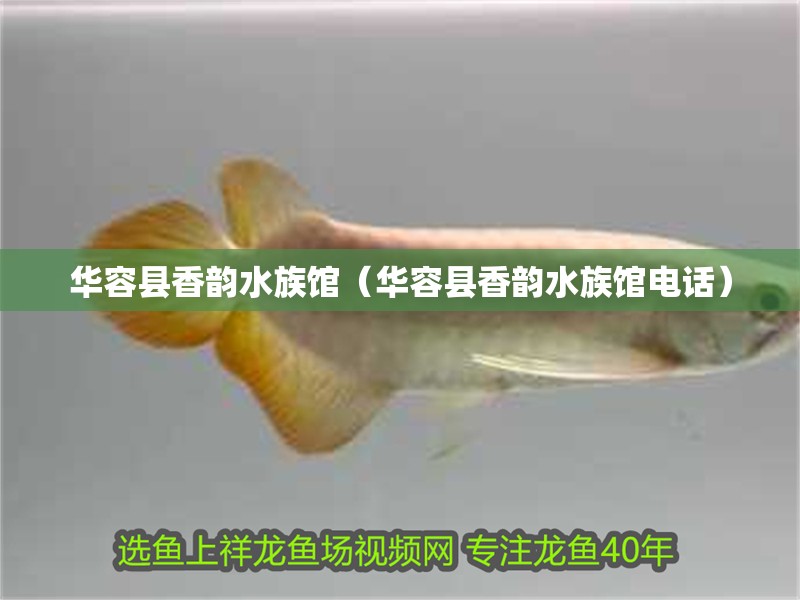 華容縣香韻水族館（華容縣香韻水族館電話）