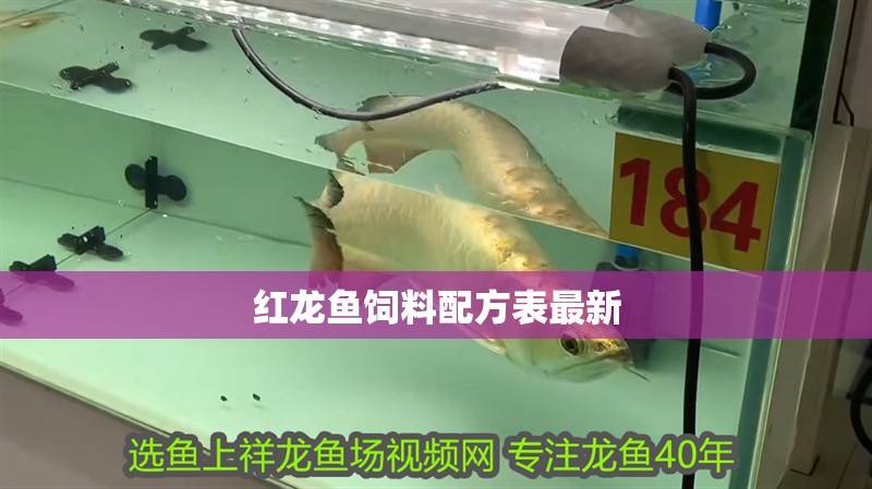 紅龍魚飼料配方表最新