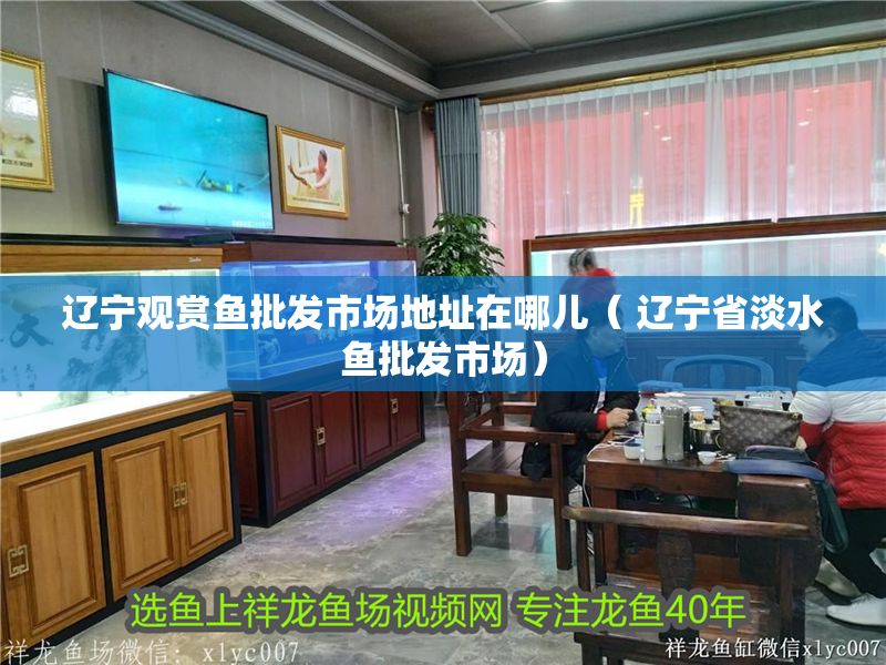 遼寧觀賞魚批發市場地址在哪兒（ 遼寧省淡水魚批發市場）