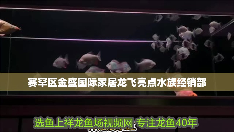 賽罕區金盛國際家居龍飛亮點水族經銷部