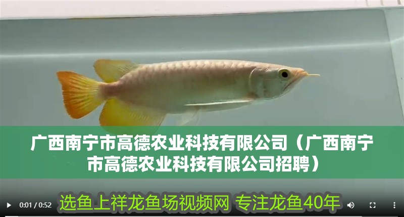廣西南寧市高德農業科技有限公司（廣西南寧市高德農業科技有限公司招聘）