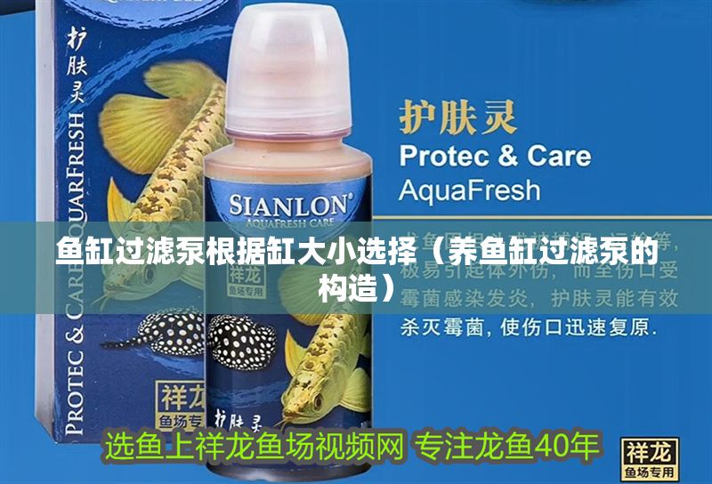 魚缸過濾泵根據缸大小選擇（養魚缸過濾泵的構造）