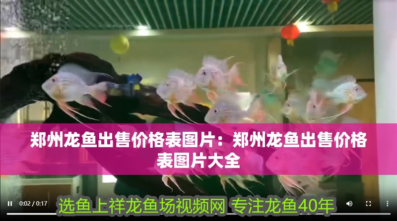 鄭州龍魚出售價格表圖片：鄭州龍魚出售價格表圖片大全