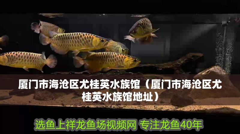 廈門市海滄區(qū)尤桂英水族館（廈門市海滄區(qū)尤桂英水族館地址）