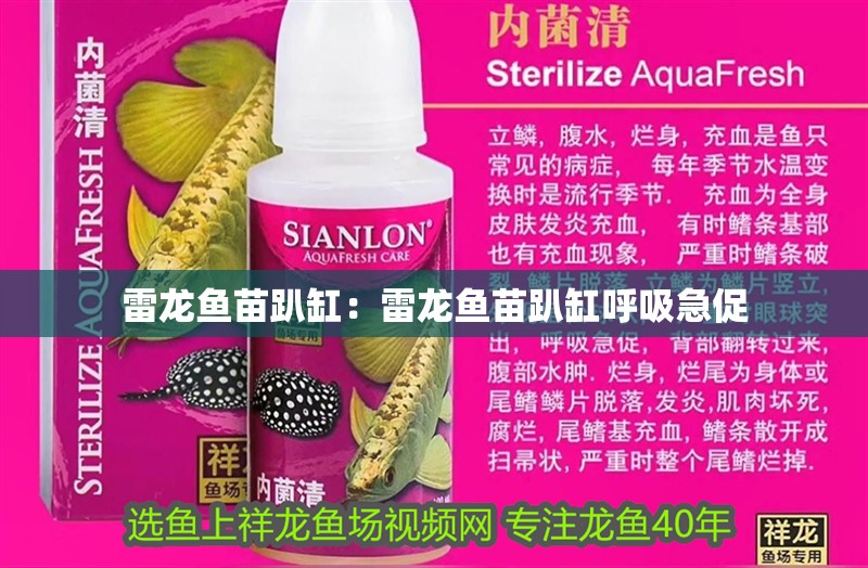 魚缸 雷龍魚苗趴缸:雷龍魚苗趴缸呼吸急促 水族問答 雷龍魚苗趴缸:雷龍魚苗趴缸呼吸急促 雷龍魚苗趴缸:雷龍魚苗趴缸呼吸急促 水族問答