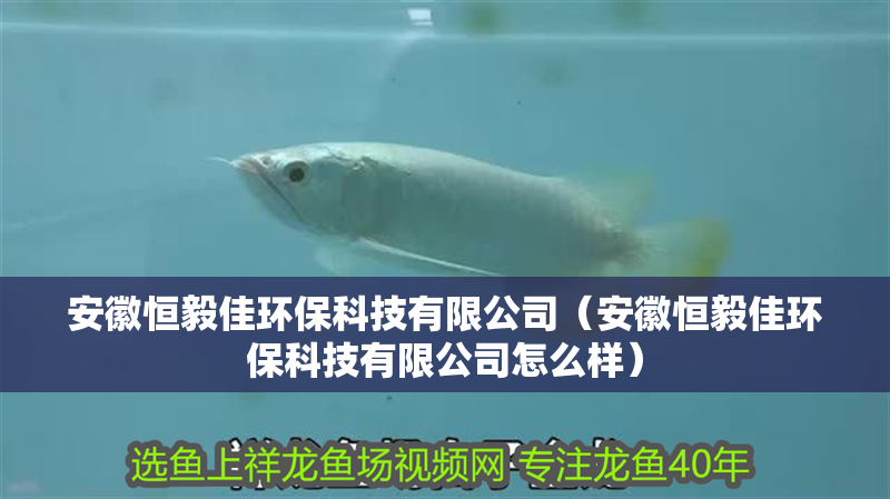 <strong><mark>安徽</mark></strong>恒毅佳環保科技有限公司（<strong><mark>安徽</mark></strong>恒毅佳環保科技有限公司怎么樣）