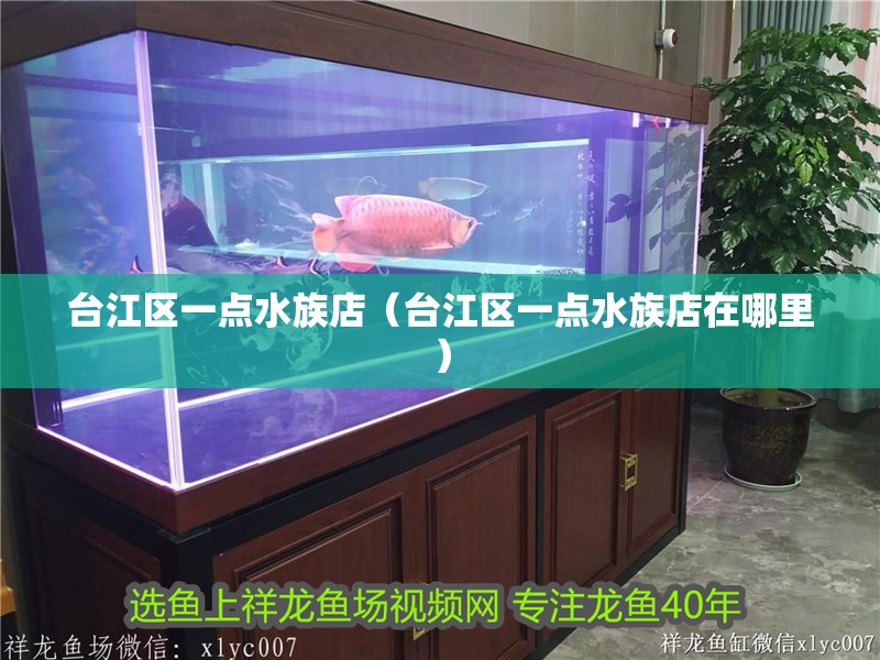 臺江區一點水族店(臺江區一點水族店在哪里) 全國水族館企業名錄 第1張 臺江區一點水族店(臺江區一點水族店在哪里) 臺江區一點水族店(臺江區一點水族店在哪里) 全國水族館企業名錄 第1張