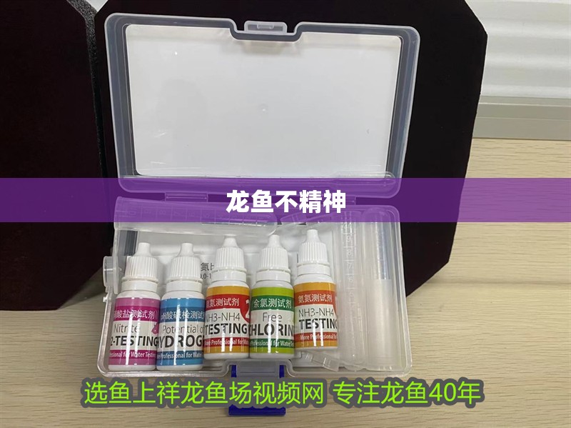 龍魚不精神