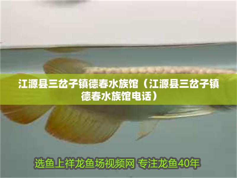 江源縣三岔子鎮(zhèn)德春水族館（江源縣三岔子鎮(zhèn)德春水族館電話）