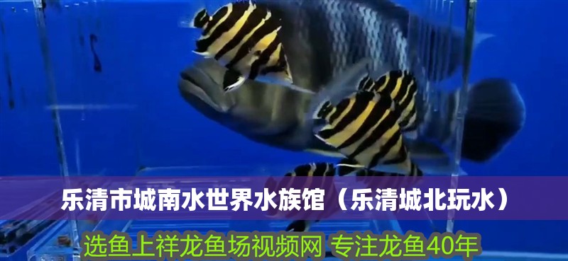 樂清市城南水世界水族館（樂清城北玩水）