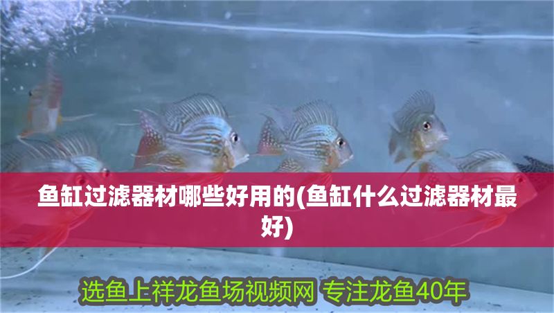 魚缸過濾器材哪些好用的(魚缸什么過濾器材最好) 魚缸過濾器材哪些好用的(魚缸什么過濾器材最好) 錦鯉魚百科 第1張
