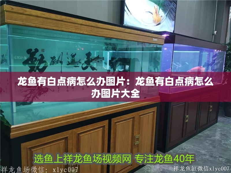龍魚有白點病怎么辦圖片：龍魚有白點病怎么辦圖片大全